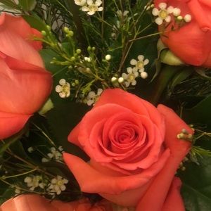 Meet your Posher, Tessa